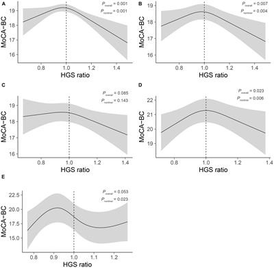 Association between handgrip strength asymmetry and cognitive function across ethnicity in rural China: a cross-sectional study